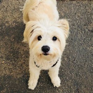 Meet your Posher, Tammy